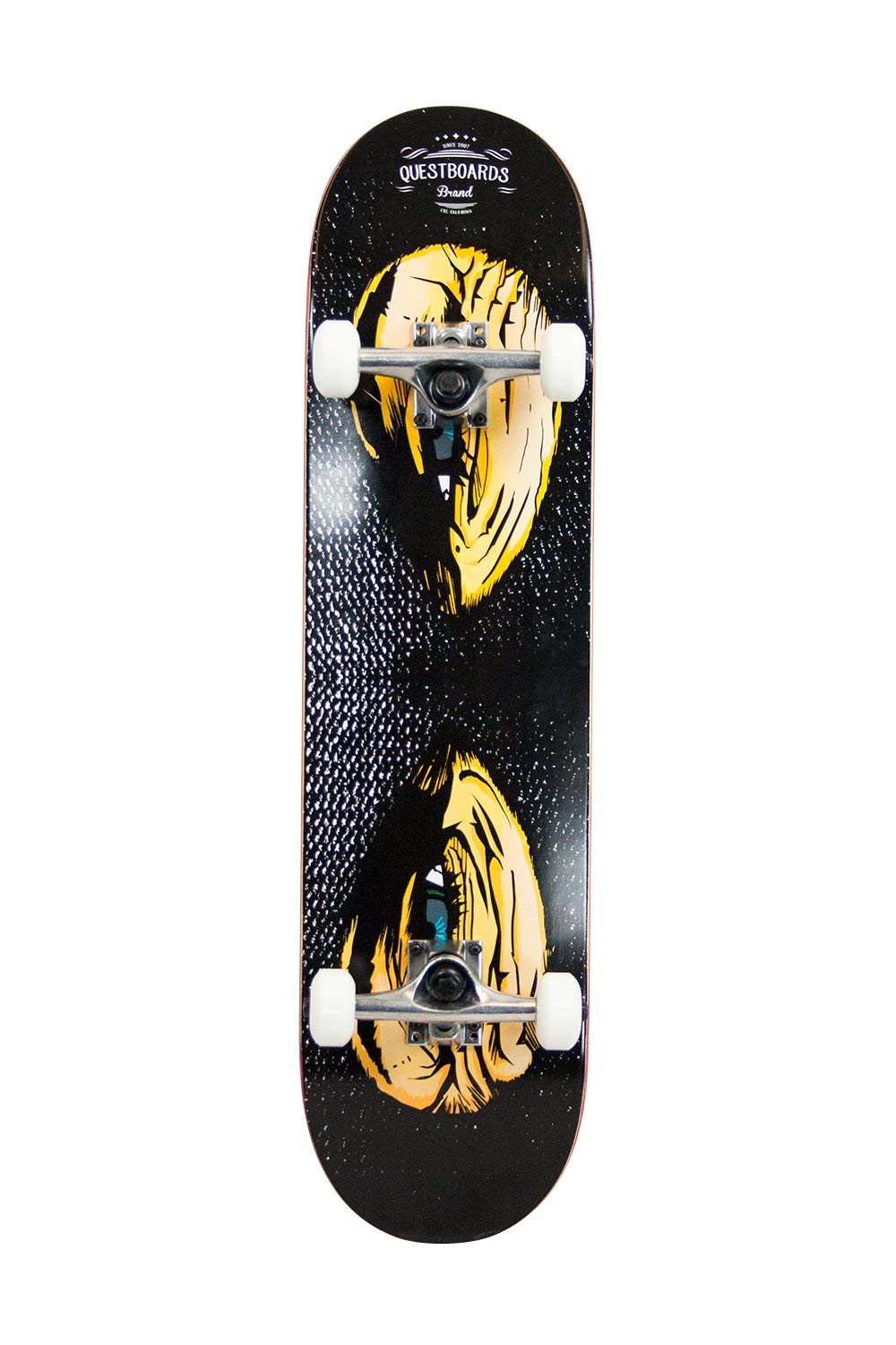 Best skateboard for beginners