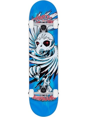 Birdhouse skateboard